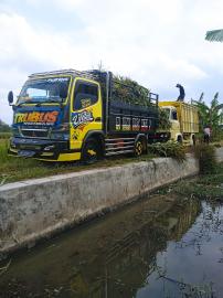 LANGKANYA PAKAN TERNAK DI KALURAHAN KEPEK SAAT INI